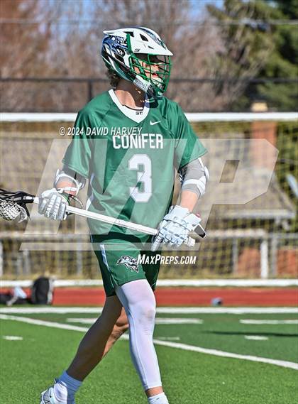 Thumbnail 2 in Conifer vs Thomas Jefferson photogallery.