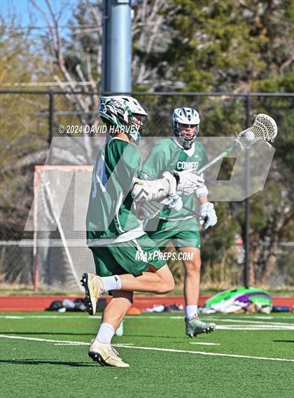 Thumbnail 1 in Conifer vs Thomas Jefferson photogallery.
