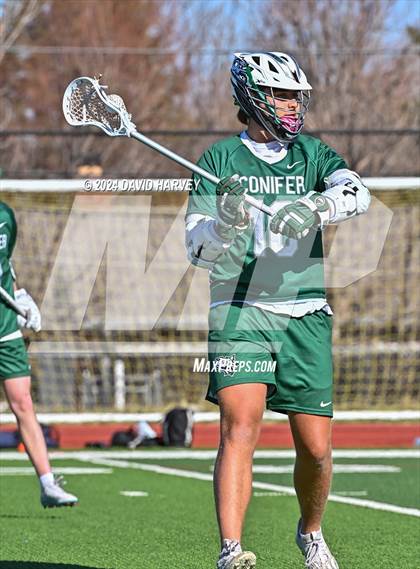 Thumbnail 1 in Conifer vs Thomas Jefferson photogallery.