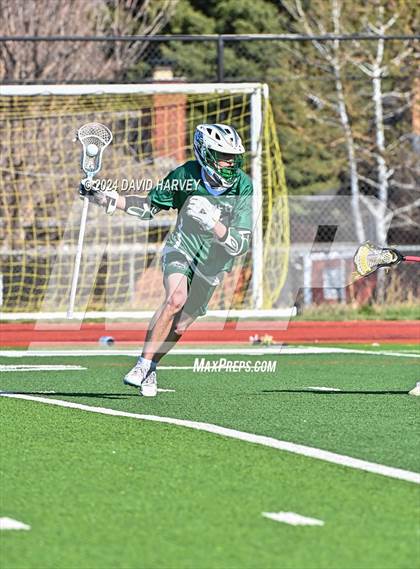 Thumbnail 1 in Conifer vs Thomas Jefferson photogallery.
