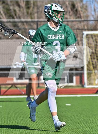 Thumbnail 3 in Conifer vs Thomas Jefferson photogallery.