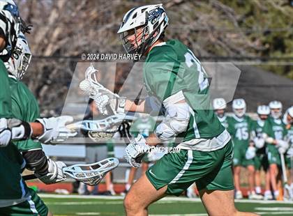 Thumbnail 1 in Conifer vs Thomas Jefferson photogallery.