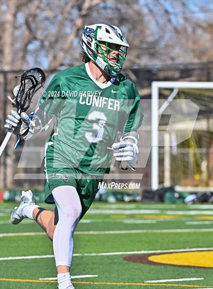 Thumbnail 1 in Conifer vs Thomas Jefferson photogallery.