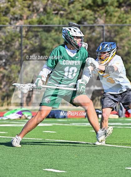 Thumbnail 1 in Conifer vs Thomas Jefferson photogallery.