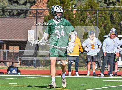 Thumbnail 2 in Conifer vs Thomas Jefferson photogallery.