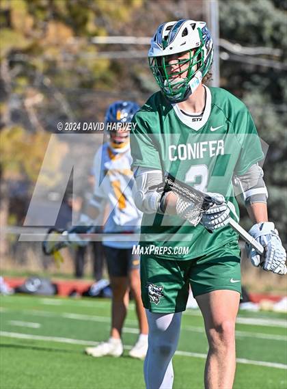 Thumbnail 1 in Conifer vs Thomas Jefferson photogallery.