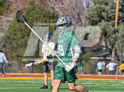 Thumbnail 1 in Conifer vs Thomas Jefferson photogallery.