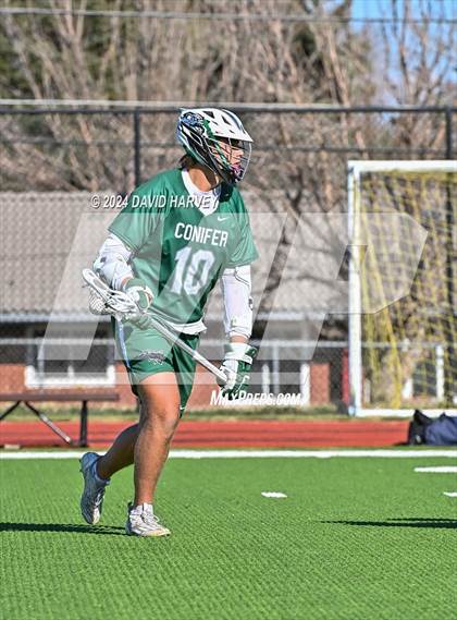 Thumbnail 2 in Conifer vs Thomas Jefferson photogallery.