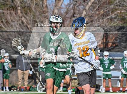 Thumbnail 1 in Conifer vs Thomas Jefferson photogallery.