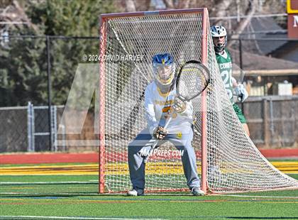 Thumbnail 1 in Conifer vs Thomas Jefferson photogallery.