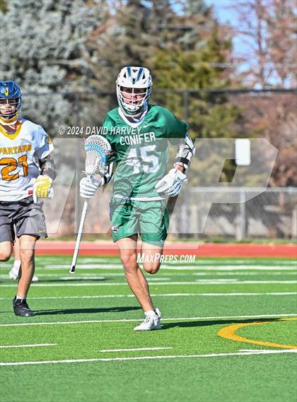 Thumbnail 3 in Conifer vs Thomas Jefferson photogallery.