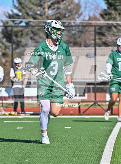 Thumbnail 1 in Conifer vs Thomas Jefferson photogallery.