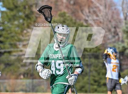Thumbnail 2 in Conifer vs Thomas Jefferson photogallery.