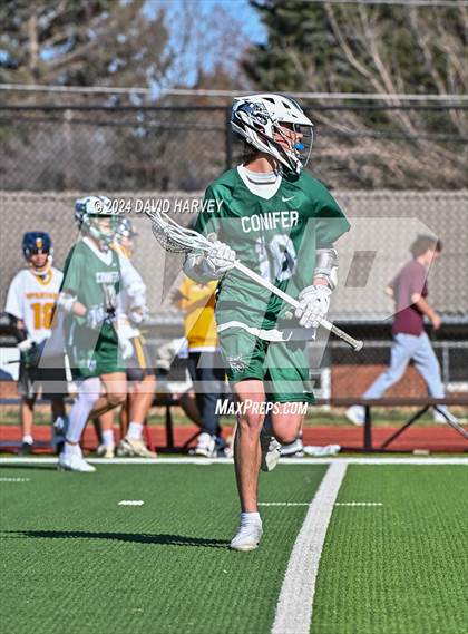 Thumbnail 2 in Conifer vs Thomas Jefferson photogallery.
