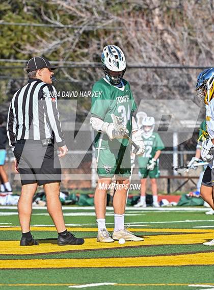 Thumbnail 1 in Conifer vs Thomas Jefferson photogallery.