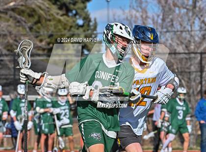Thumbnail 1 in Conifer vs Thomas Jefferson photogallery.
