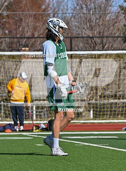 Thumbnail 3 in Conifer vs Thomas Jefferson photogallery.