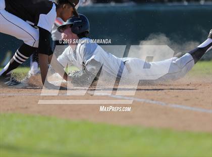 Thumbnail 1 in Crespi vs Loyola photogallery.