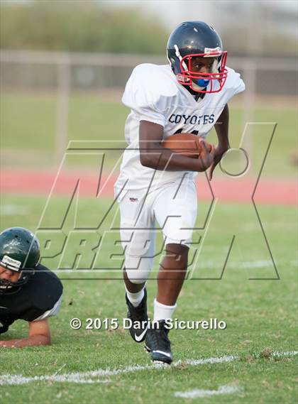 Thumbnail 1 in Centennial @ Basha photogallery.