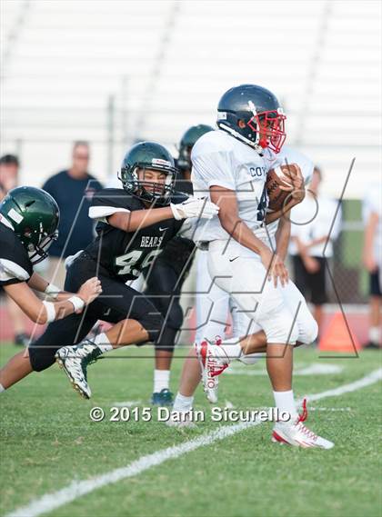 Thumbnail 3 in Centennial @ Basha photogallery.