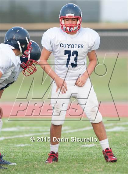 Thumbnail 2 in Centennial @ Basha photogallery.