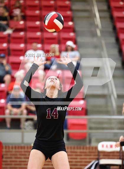 Thumbnail 2 in Millsap @ Mineral Wells photogallery.
