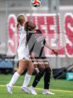 Photo from the gallery "Palmer Ridge @ Northridge"