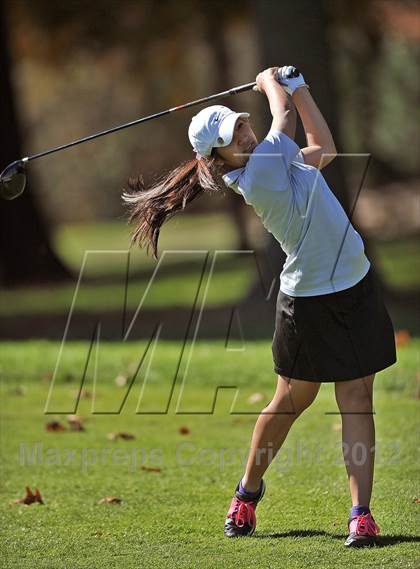 Thumbnail 1 in PIAA Girls Golf Championships photogallery.