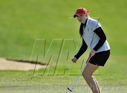 Thumbnail 3 in PIAA Girls Golf Championships photogallery.