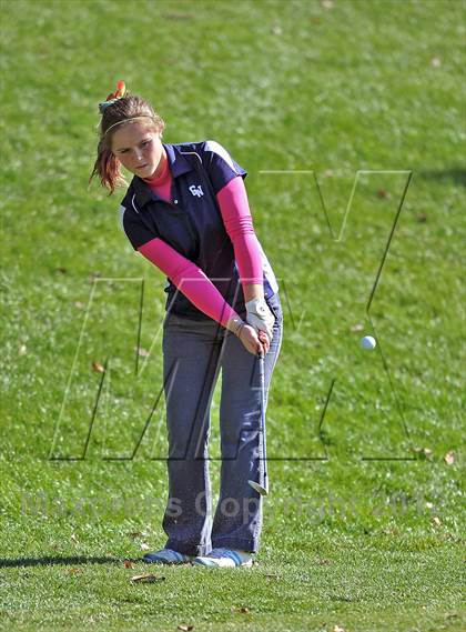 Thumbnail 2 in PIAA Girls Golf Championships photogallery.