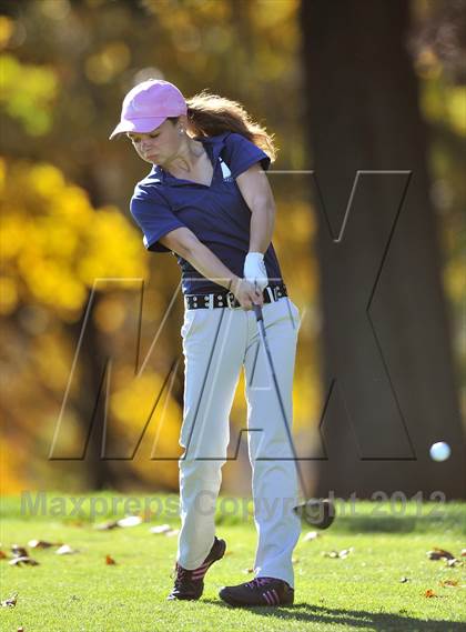 Thumbnail 1 in PIAA Girls Golf Championships photogallery.