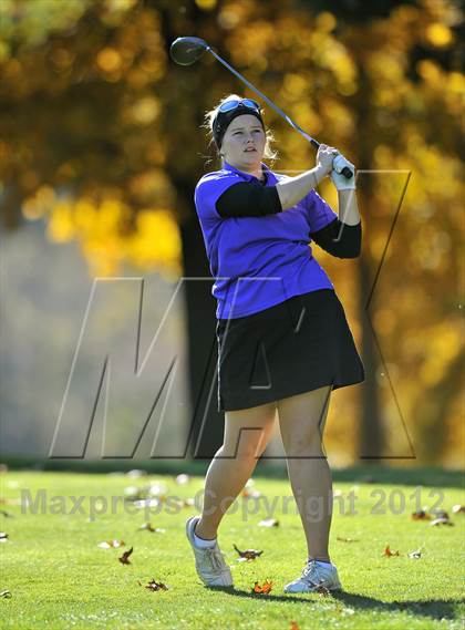 Thumbnail 2 in PIAA Girls Golf Championships photogallery.
