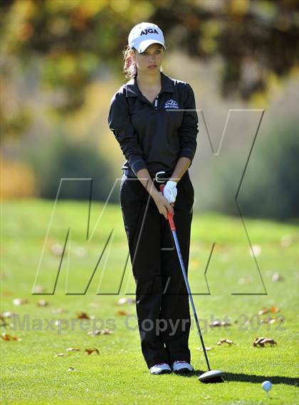 Thumbnail 2 in PIAA Girls Golf Championships photogallery.