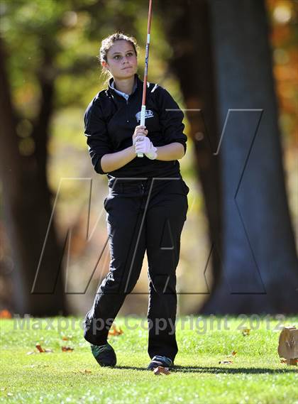 Thumbnail 2 in PIAA Girls Golf Championships photogallery.