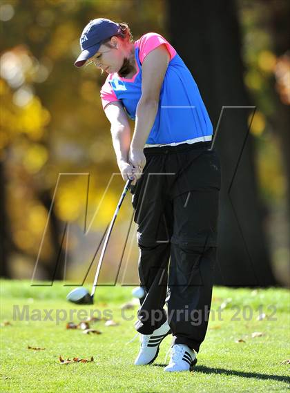 Thumbnail 1 in PIAA Girls Golf Championships photogallery.