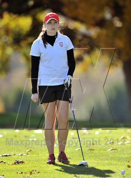 Thumbnail 1 in PIAA Girls Golf Championships photogallery.