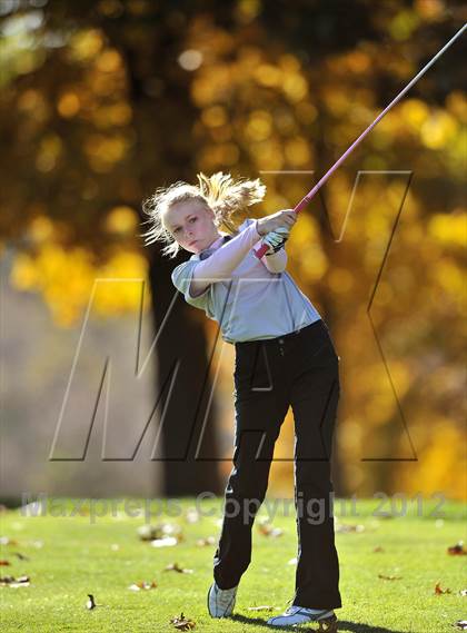 Thumbnail 1 in PIAA Girls Golf Championships photogallery.