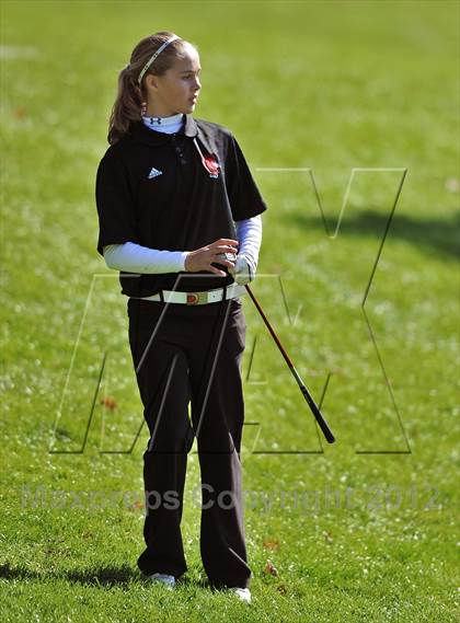 Thumbnail 3 in PIAA Girls Golf Championships photogallery.