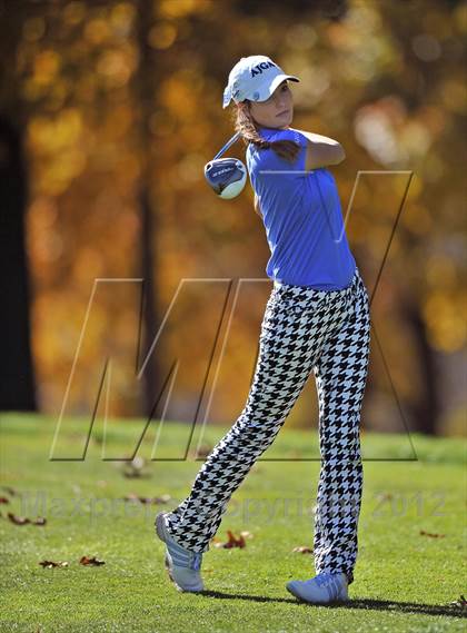 Thumbnail 2 in PIAA Girls Golf Championships photogallery.