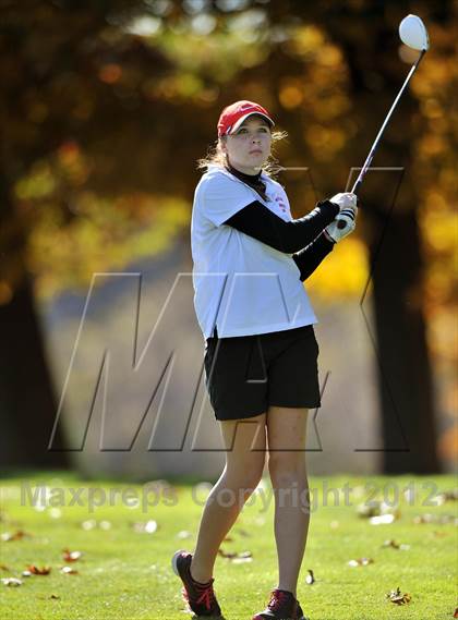 Thumbnail 2 in PIAA Girls Golf Championships photogallery.