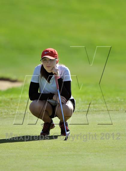 Thumbnail 3 in PIAA Girls Golf Championships photogallery.