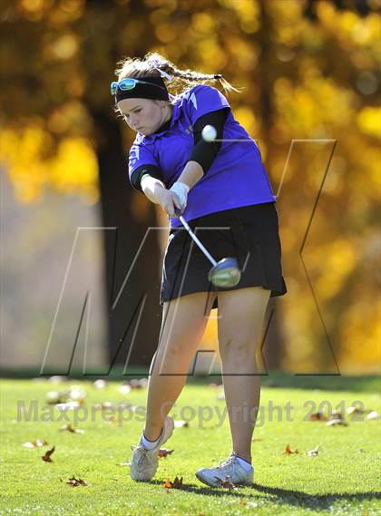 Thumbnail 1 in PIAA Girls Golf Championships photogallery.