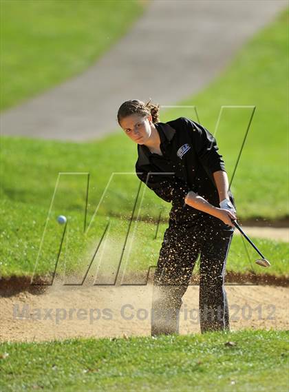 Thumbnail 2 in PIAA Girls Golf Championships photogallery.