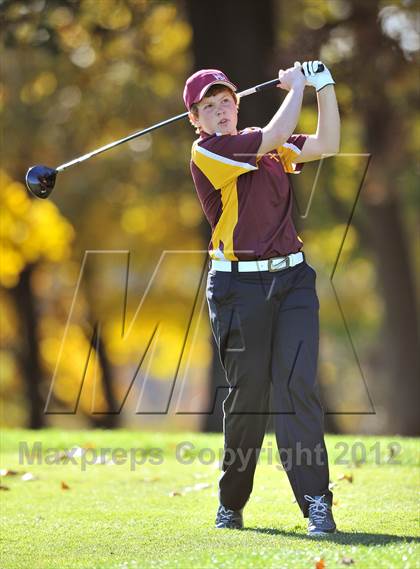 Thumbnail 2 in PIAA Girls Golf Championships photogallery.