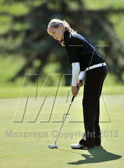 Thumbnail 1 in PIAA Girls Golf Championships photogallery.