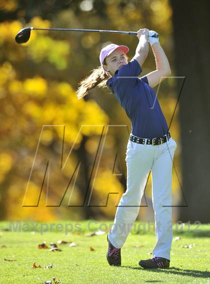 Thumbnail 2 in PIAA Girls Golf Championships photogallery.