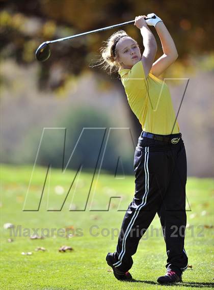 Thumbnail 2 in PIAA Girls Golf Championships photogallery.