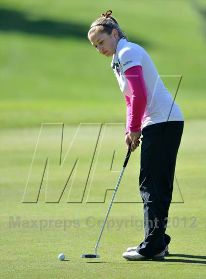 Thumbnail 3 in PIAA Girls Golf Championships photogallery.