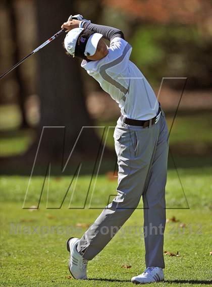 Thumbnail 1 in PIAA Girls Golf Championships photogallery.