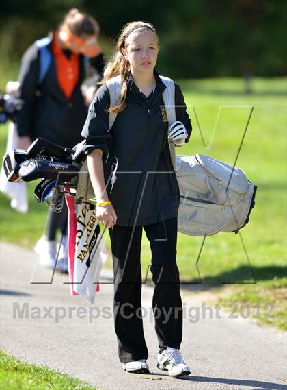 Thumbnail 1 in PIAA Girls Golf Championships photogallery.